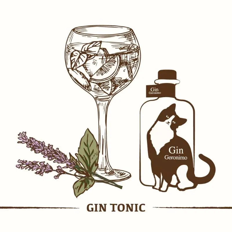 居家調酒 : Gin Tonic 琴湯尼。