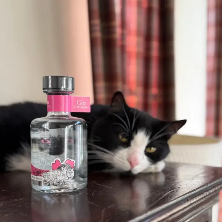 紅粉貓迷倫敦琴酒 Geronimo Gin Rose，多角度展示。
