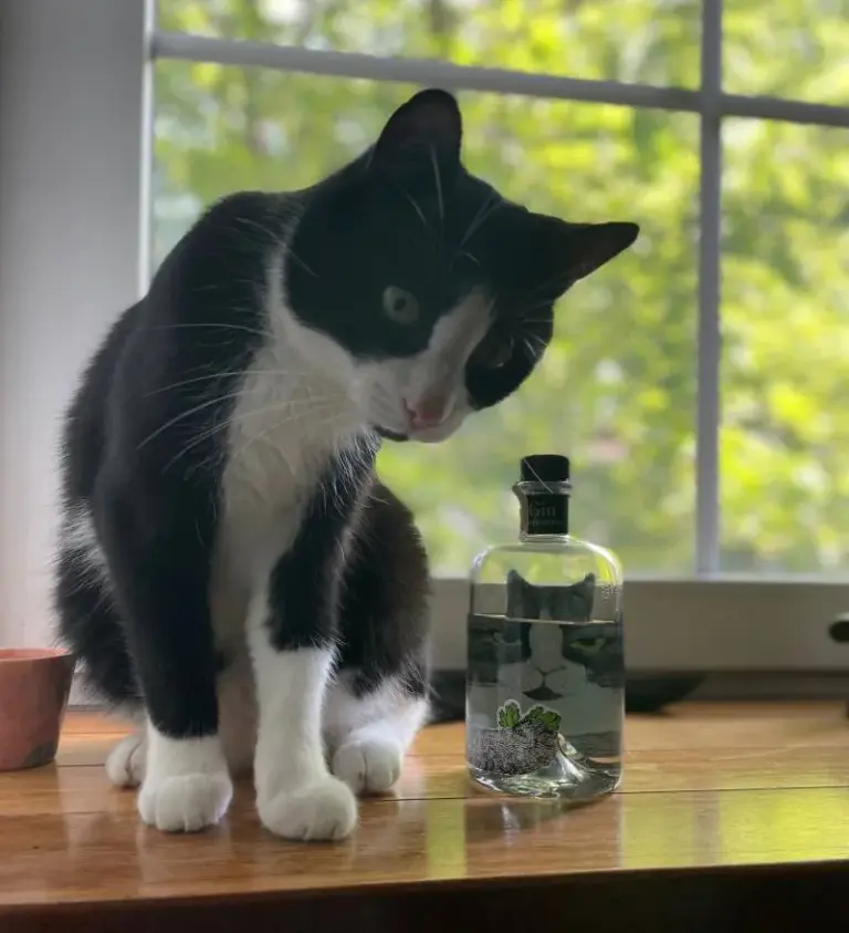 Geronimo Gin｜能陪伴你一整年的兩瓶酒 (限量優惠活動)